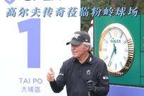 替代